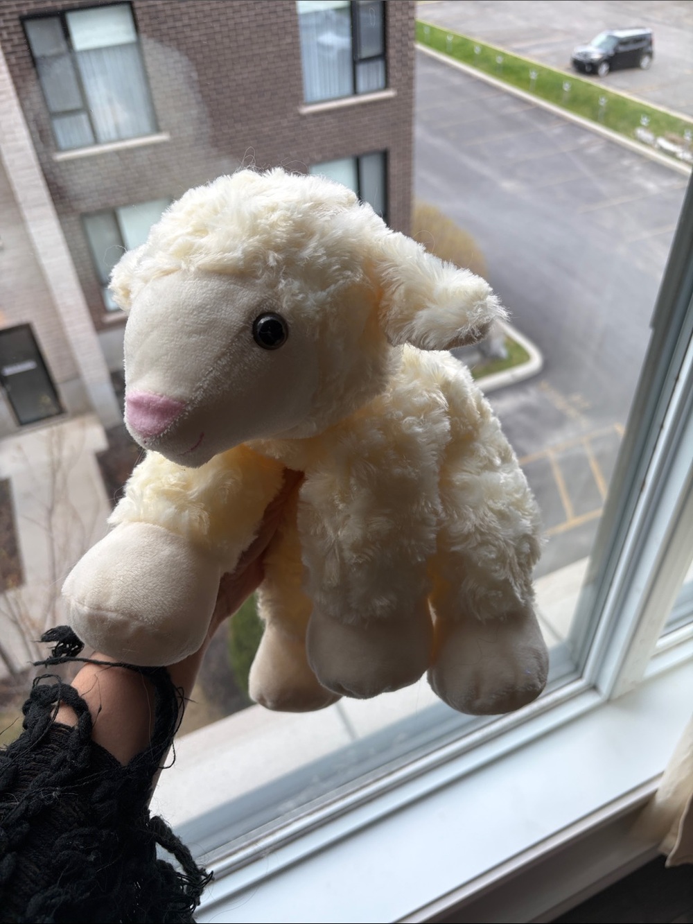 Plush Cream Lamb Stuffed Animal - Brand